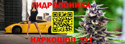 a pvp Дубна