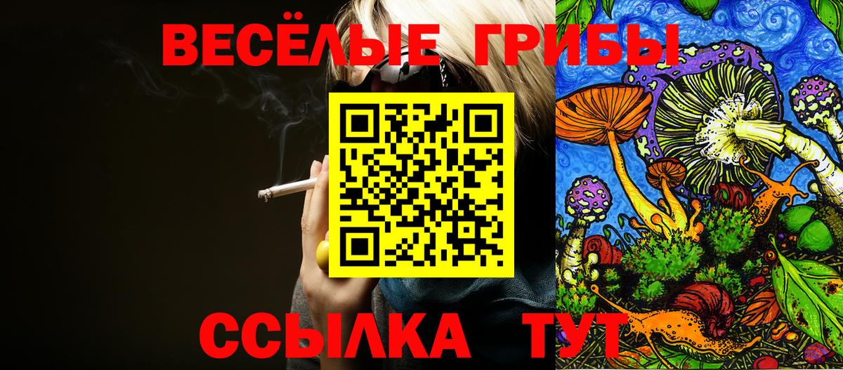 Минусинск  Псилоцибиновые грибы мухоморы  Вход с VPN 
